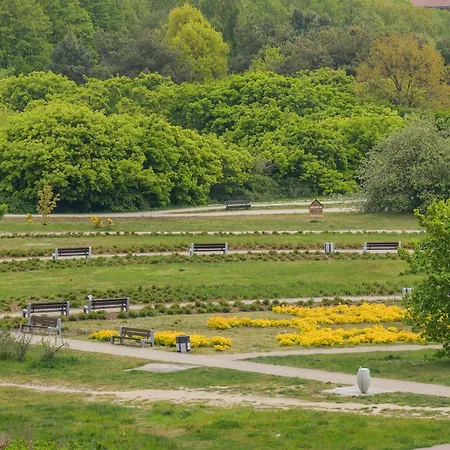 Porto - Park Reagana